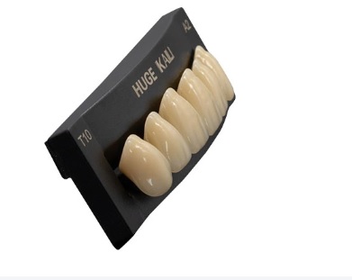 Synthetic Polymer Teeth