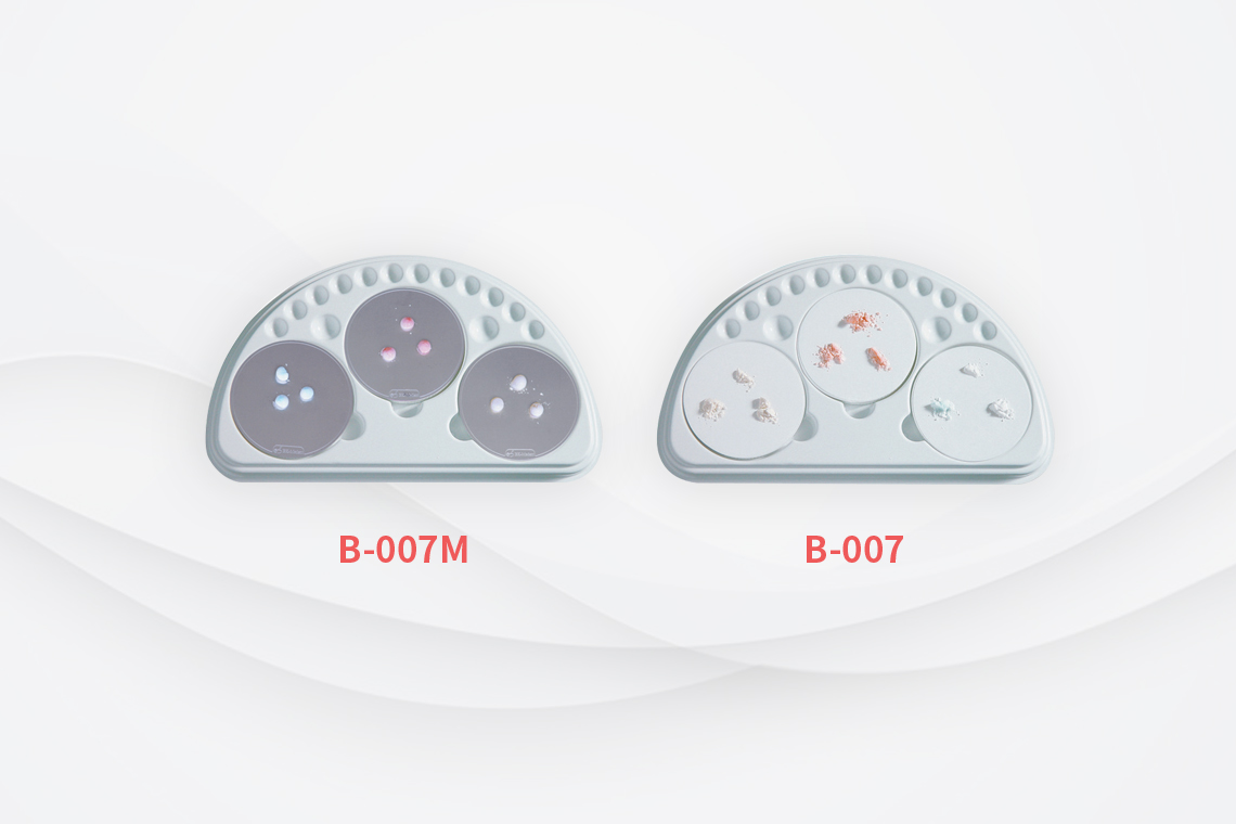 Dental Plate