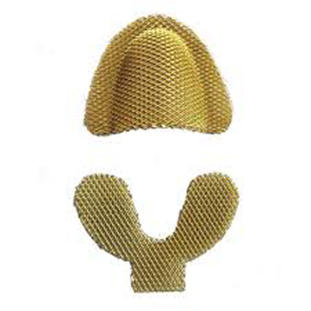 Denture Mesh